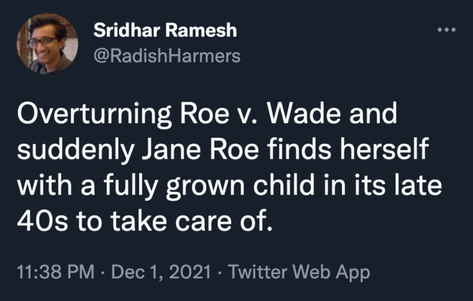 This Perspective Will Ruin Your Career | Wade vs Roe 2022