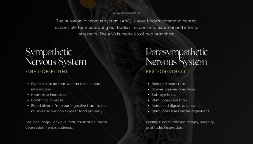 Nervous System | Strategies To Heal From Pain or Trauma | THE SMRT LIST