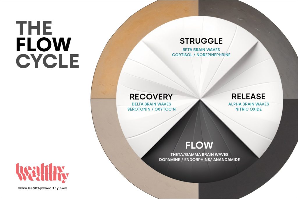 The Flow Cycle: 4 Phases To Be A Peak Performer | Healthy x Wealthy Lifestyle Design | Peak Performance Training